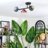 Chehalis Plafondlamp, Kogellampje Blauw, Groen, Duidelijk, Koperkleurig, 3-lichts