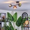 Chehalis Plafondlamp, Kogellampje Blauw, Groen, Duidelijk, Koperkleurig, 3-lichts