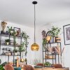 Koyoto Hanglamp, Kogellampje, Hanglamp 20 cm Goud, Duidelijk, 1-licht