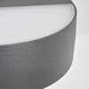 Duron Wandlamp voor buiten, Licht omhoog & omlaag, Wandlamp LED Antraciet, 1-licht
