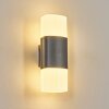 Felor Wandlamp voor buiten, Licht omhoog & omlaag, Wandlamp LED Antraciet, 2-lichts