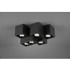 Trio Fernando Plafondlamp Zwart, 6-lichts
