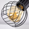 Kenia Plafondlamp Grijs, Zwart, 2-lichts
