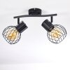 Kenia Plafondlamp Grijs, Zwart, 2-lichts