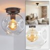 Ripoll Plafondlamp, Kogellampje Duidelijk, 1-licht