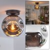 Ripoll Plafondlamp, Kogellampje Rookkleurig, 1-licht