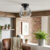 Ripoll Plafondlamp, Kogellampje Duidelijk, Rookkleurig, 1-licht