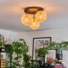 Basto Plafondlamp, Kogellampje Natuurlijke kleuren, 3-lichts