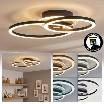 Marek Plafondlamp LED Zwart, 1-licht