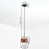 Ripoll Hanglamp, Kogellampje, Hanglamp Duidelijk, Koperkleurig, 1-licht