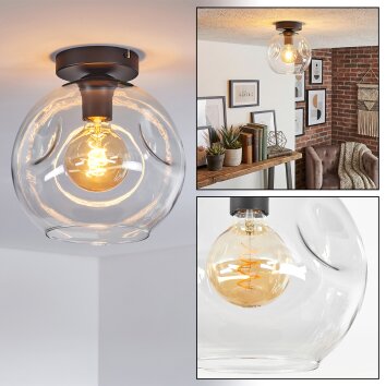 Ripoll Plafondlamp, Kogellampje Duidelijk, 1-licht