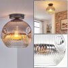 Ripoll Plafondlamp, Kogellampje Chroom, Duidelijk, Rookkleurig, 1-licht