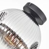 Ripoll Plafondlamp, Kogellampje Chroom, Duidelijk, Rookkleurig, 1-licht