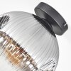 Ripoll Plafondlamp, Kogellampje Duidelijk, Rookkleurig, 1-licht