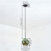 Ripoll Hanglamp, Kogellampje, Hanglamp Groen, 1-licht