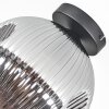 Ripoll Plafondlamp, Kogellampje Rookkleurig, 1-licht