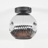 Ripoll Plafondlamp, Kogellampje Chroom, Rookkleurig, 1-licht