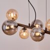 Chehalis Hanglamp, Kogellampje, Hanglamp Amber, Rookkleurig, 8-lichts