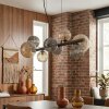 Chehalis Hanglamp, Kogellampje, Hanglamp Amber, Rookkleurig, 8-lichts