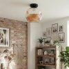 Ripoll Plafondlamp, Kogellampje Amber, 1-licht