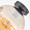 Ripoll Plafondlamp, Kogellampje Amber, 1-licht