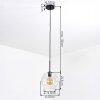 Ripoll Hanglamp, Kogellampje, Hanglamp Duidelijk, 1-licht