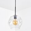 Ripoll Hanglamp, Kogellampje, Hanglamp Duidelijk, 1-licht