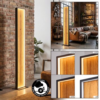 Gerin Staande lamp LED Natuurlijke kleuren, Zwart, 1-licht