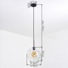 Ripoll Hanglamp, Kogellampje, Hanglamp Duidelijk, 1-licht