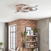 Gorin Plafondlamp LED Champagne, Chroom, Zilver, 1-licht