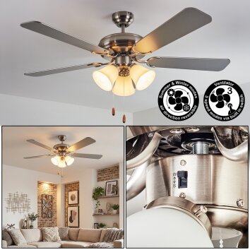 Stelo Plafondlamp, Plafondventilator met verlichting Natuurlijke kleuren, Nikkel mat, Zilver, 3-lichts