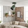 Horen Plafondlamp, Plafondspot Groen, 1-licht