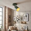 Horen Plafondlamp, Plafondspot Groen, 1-licht
