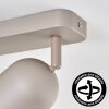 Horen Plafondlamp, Plafondspot Zandkleurig, 2-lichts
