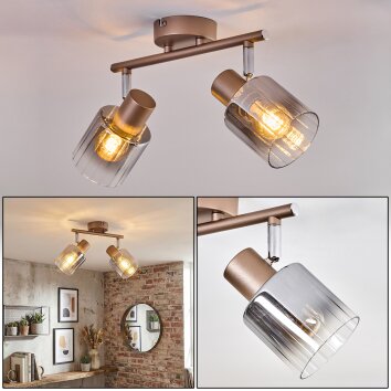 Casterk Plafondlamp, Plafondspot Bruin, Chroom, 2-lichts