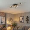 Goren Plafondlamp LED Zwart, 1-licht