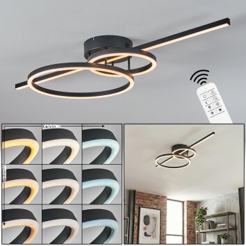 Goren Plafondlamp LED Zwart, 1-licht