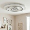 Lidor Plafondlamp LED Grijs, Wit, 1-licht, Afstandsbediening