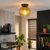Koyoto Plafondlamp, Kogellampje 20 cm Goud, Duidelijk, 1-licht