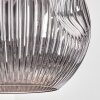Ripoll Hanglamp, Kogellampje, Hanglamp Chroom, Rookkleurig, 1-licht
