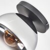 Koyoto Plafondlamp, Kogellampje 25 cm Chroom, Duidelijk, Rookkleurig, 1-licht