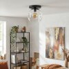 Ripoll Plafondlamp, Kogellampje Duidelijk, 1-licht