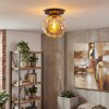 Ripoll Plafondlamp, Kogellampje Amber, 1-licht