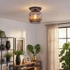 Ripoll Plafondlamp, Kogellampje Rookkleurig, 1-licht
