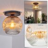 Ripoll Plafondlamp, Kogellampje Amber, Duidelijk, 1-licht