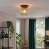 Ripoll Plafondlamp, Kogellampje Amber, Duidelijk, 1-licht