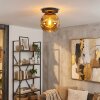 Ripoll Plafondlamp, Kogellampje Goud, 1-licht