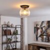 Koyoto Plafondlamp, Kogellampje 25 cm Duidelijk, 1-licht