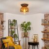 Koyoto Plafondlamp, Kogellampje 25 cm Goud, Duidelijk, 1-licht