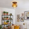Ripoll Plafondlamp, Kogellampje Goud, Duidelijk, 1-licht